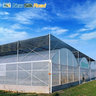 Large Single Layer Greenhouse Tunnel Sale Economical and Customizable for Agriculture