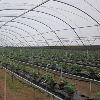 Wind Load 0.6 kn/m2 Multi-Span Agricultural Greenhouse for Hydroponic Strawberries