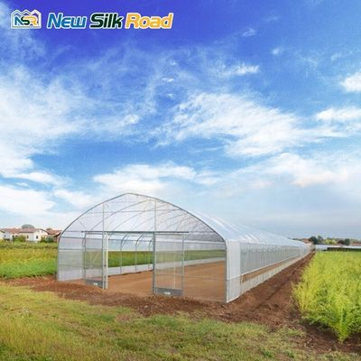 Agricultural Single Span PE Plastic Film Greenhouses with Galvanized Steel Frame Mini to Large Sizes for Plant Housed