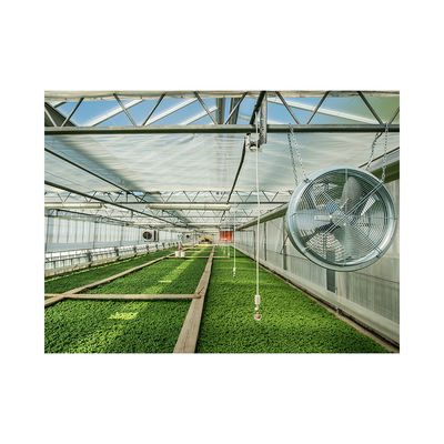 Stainless Steel Large Industrial Exhaust Fan 50/60HZ Frequency at NSR Greenhouse