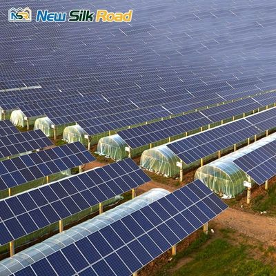 Film Cover Solar Double Layer Tunnel Agricultural Greenhouses with Customized Length
