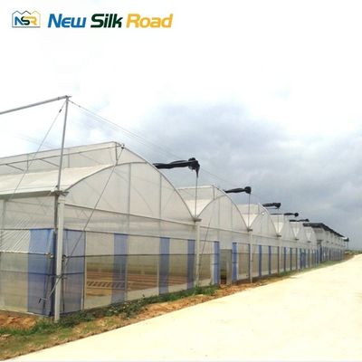 Sawtooth Greenhouse with PEP Hot Dip Galvanized Materials and Green Plastic Film Cover