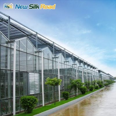 Turnkey Hydroponic Multi-span Agricultural Glass Greenhouse with Tempered Glass Cover