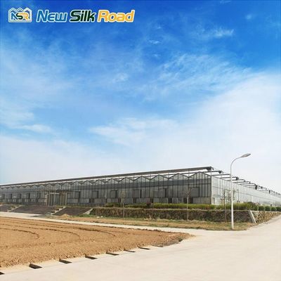Galvanized Steel Frame Enclosed Glass Film Industrial Greenhouse for Plant Usage