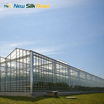 Hot Dip Galvanized Steel Frame Multi-span Hydroponic Greenhouse for Plant Cultivation
