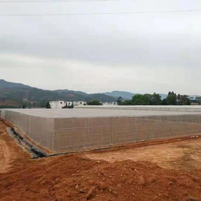 Length 10-100m/Customized Insect Net Greenhouse for Africa Countries NSR Greenhouse