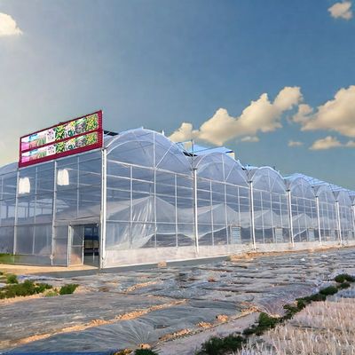 Double PE Steel Frame Greenhouse Film Cover for Plants Agriculture in Cold Winters