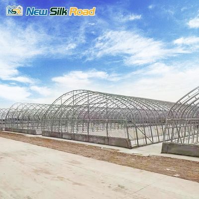 PE Plastic Film Covered Galvanized Steel Frame Greenhouse for Small to Large Square