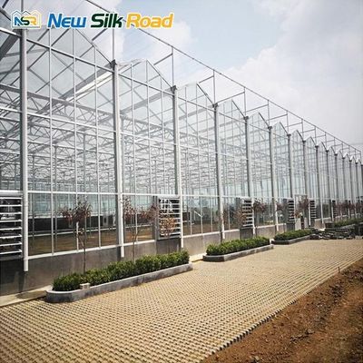 Large Photovoltaic Solar Greenhouse Fans Customized Length for Optimal Agro Product Growth