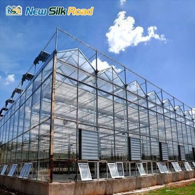 Agricultural Greenhouse Venlo Luxury Vintage Garden Greenhouse Large Glass Greenhouse for Agro