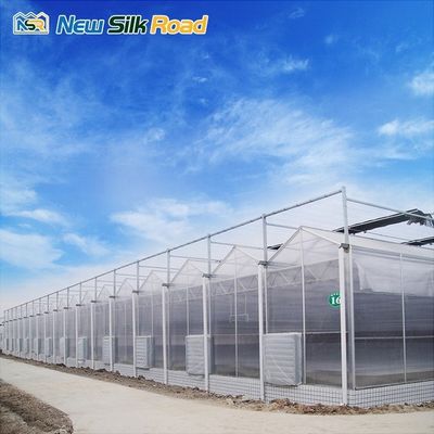 Lowes Sunrooms Polycarbonate Panel Garden Sun Room with Hot Dip Galvanized Steel Structure