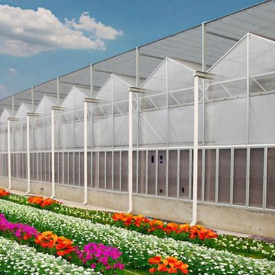 china manufacturer agricultural greenhouses green house polycarbonate garden greenhouse polycarbonate green house for agro