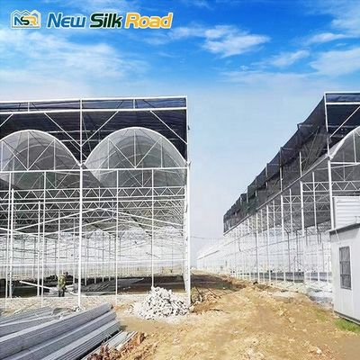 Single Layer Greenhouse for Hydroponic Vegetable Farming Large Walk-In Tunnel Design
