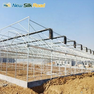 Single Layer Greenhouse for Hydroponic Vegetable Farming Large Walk-In Tunnel Design