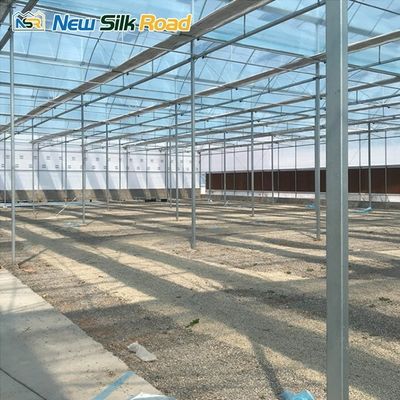 Single Layer Greenhouse for Hydroponic Vegetable Farming Large Walk-In Tunnel Design