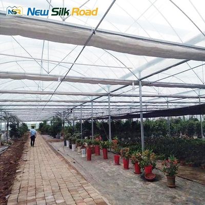 Single Layer Greenhouse for Hydroponic Vegetable Farming Large Walk-In Tunnel Design