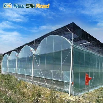 Large NSR Greenhouse Single Layer Chinese Economical Plastic Film Agriculture Tunnel