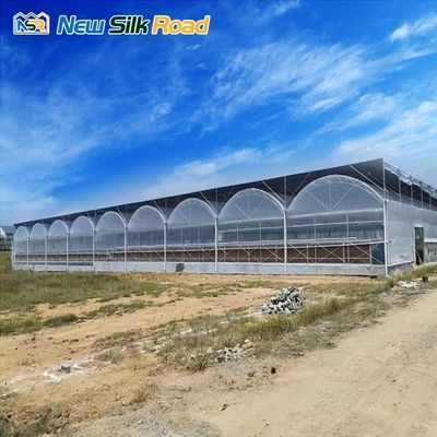 Affordable NSR Greenhouse Tunnel for Strawberry Cultivation Roof Height 3.5m-5.8m