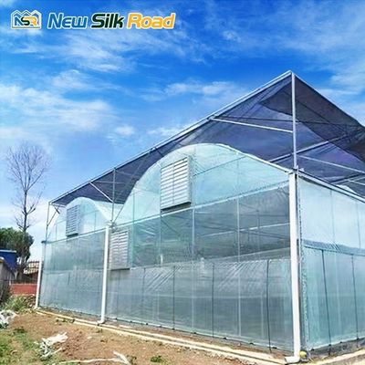 Film Covered Large Economical Plastic Vegetable Greenhouse Tunnel for Single Layer Agricultural Product