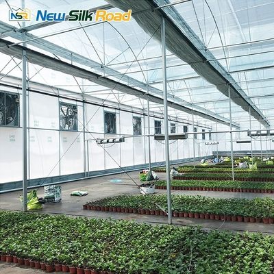 NSR Large Single Layer Hydroponic Greenhouse with Plastic Film and Steel Materials