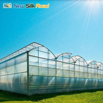 Affordable Large NSR Greenhouse Economical Gothic Greenhouse with 0.6 kn/m2 Wind Load