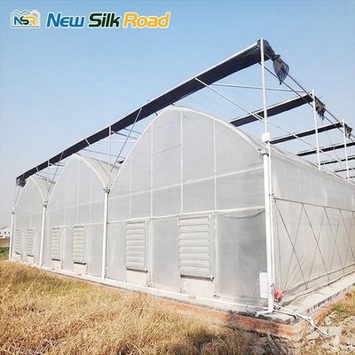 Large Gothic Greenhouse Plant Hydroponics Tower Single Layer Plastic Film Material Agricultural Greenhouse Sale