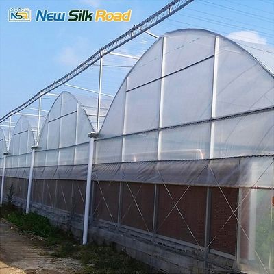 Vegetable Fruits Flowers Large Greenhouse Hydroponics System Shoulder Height 1.5m-1.8m