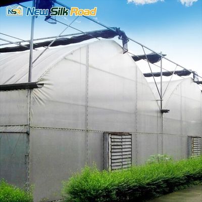 Hot Galvanized Steel Frame Plastic Greenhouse for Vegetable Fruits Flowers Strawberry