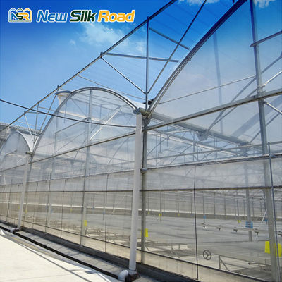 Large Single PE Film Plastic Steel Frame Agricultural Greenhouse for Hydroponic Planting