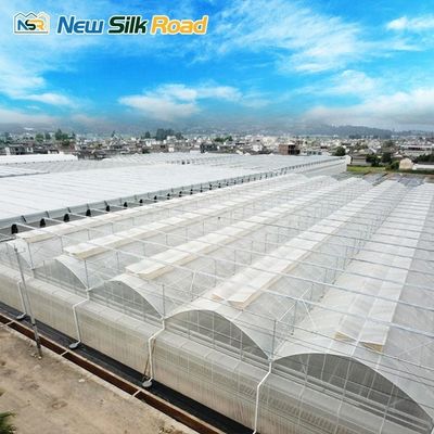 Boost Agricultural Productivity with Large Multi-Span Agricultural Greenhouses