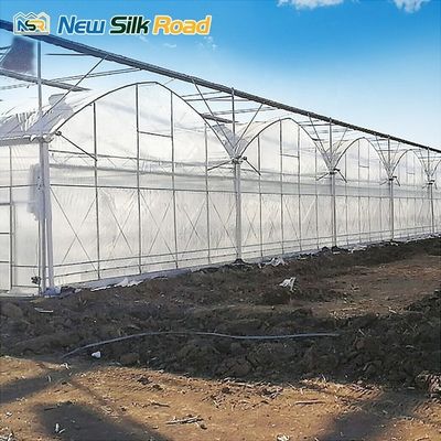 Square Shape Galvanized Steel Frame Agricultural Greenhouses Waterproof and Economical