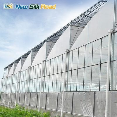 Hot Galvanized Steel Pipe Sawtooth Greenhouse NSR Greenhouse Plastic Film Customized
