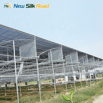4m/4.5m/5m/Customized Section Economical Greenhouse for Plant Usage in Hurricane Areas