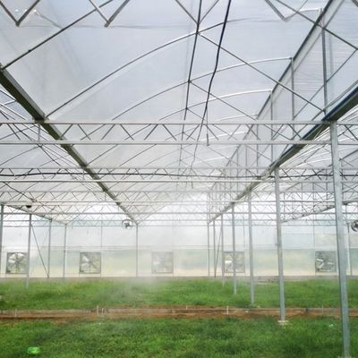 4m/4.5m/5m/Customized Section Economical Greenhouse for Plant Usage in Hurricane Areas