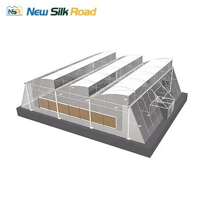NSR Agricultural Planting Greenhouse with Gutter Height 3-5m/Customized Sawtooth Roof