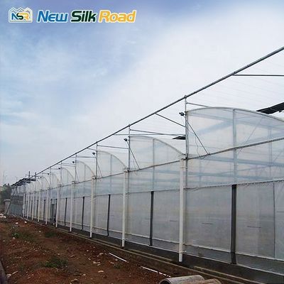Large and Small Size Single Plastic Steel Plastic Film Plant Growing Hydroponics Foam