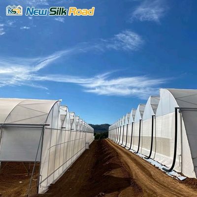 Customized Gutter Height Glass Cover Large Sawtooth Greenhouse for Hydroponic Planting