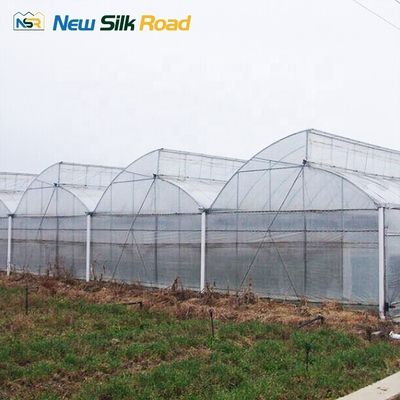 NSR Agricultural Planting Greenhouse with Gutter Height 3-5m/Customized Sawtooth Roof