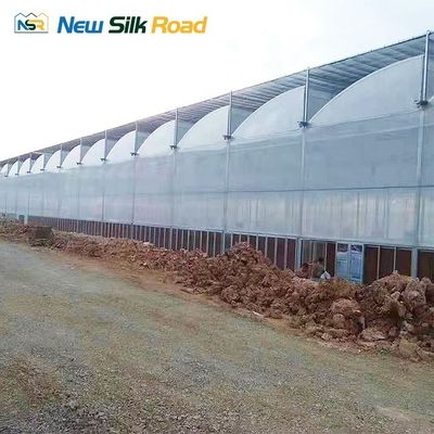 Customized Ventilation Roof Vents/Side Vents Plastic Steel Plastic Film Greenhouse