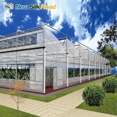 4m/4.5m/5m/Customized Section Economical Greenhouse for Plant Usage in Hurricane Areas