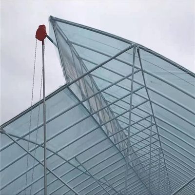 4m/4.5m/5m/Customized Section Economical Greenhouse for Plant Usage in Hurricane Areas
