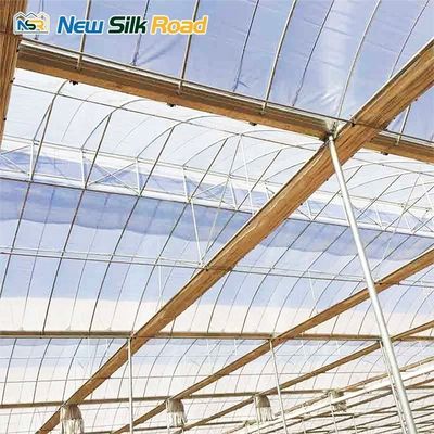 4m/4.5m/5m/Customized Section Economical Greenhouse for Plant Usage in Hurricane Areas