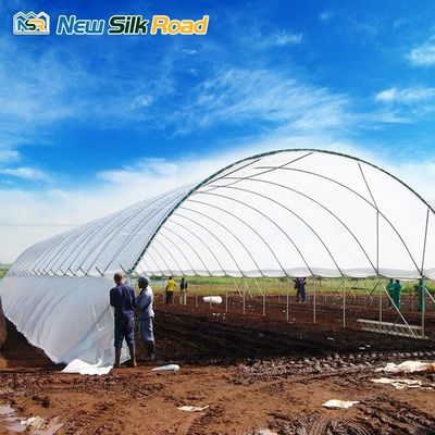 Economically Viable Multi-Span Tunnel Greenhouse for Agriculture Hydroponic Planting