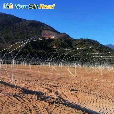 Economically Viable Multi-Span Tunnel Greenhouse for Agriculture Hydroponic Planting