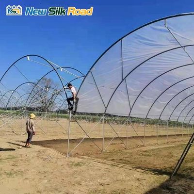 Large Agricultural Film Greenhouse for Tropical Crops Single Layer and Easy