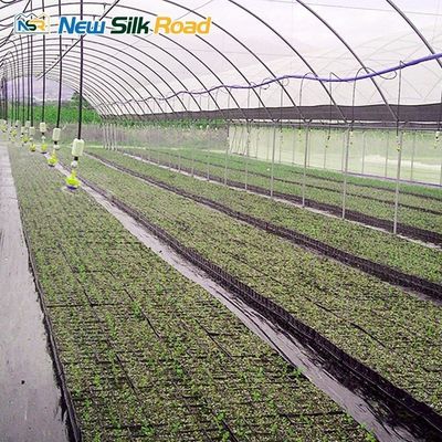 Wind Load 0.6 kn/m2 Multi-Span Agricultural Greenhouse for Hydroponic Strawberries