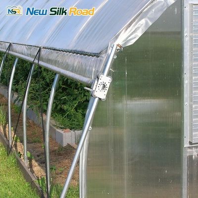 Wind Load 0.6 kn/m2 Multi-Span Agricultural Greenhouse for Hydroponic Strawberries