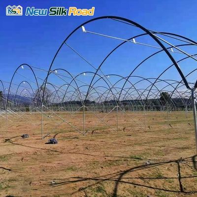 Wind Load 0.6 kn/m2 Multi-Span Agricultural Greenhouse for Hydroponic Strawberries