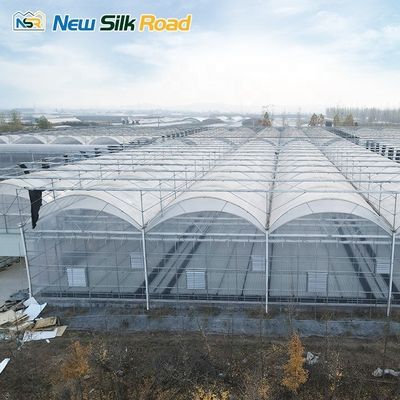 Hot Dip Galvanized Steel Frame PE Film Greenhouse for Economical Agricultural Plant