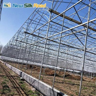 Span 6m/8m/9.6m/10m/12m/Customized Economical Double Arch Double Layer Film PVC Greenhouse